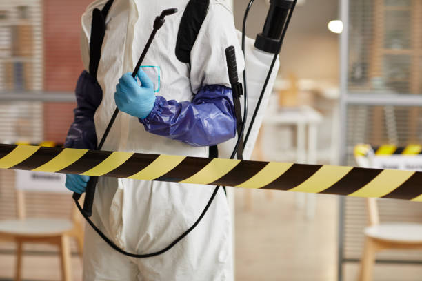 Professional Sewage Cleanup technician working in Washington, NE